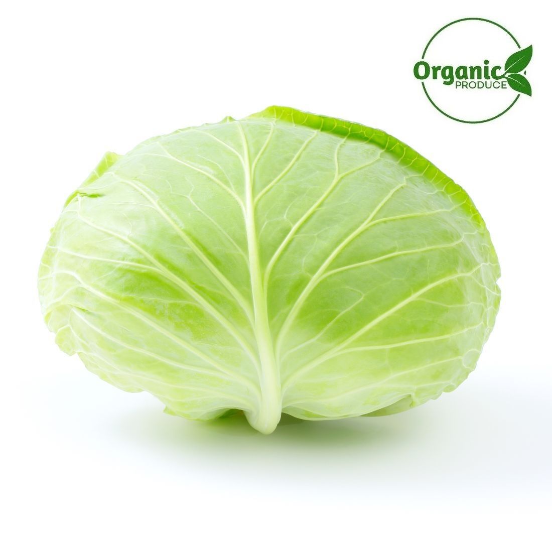 Cabbage Flat Organic Size: 1 piece ~1Kg UAE 🇦🇪